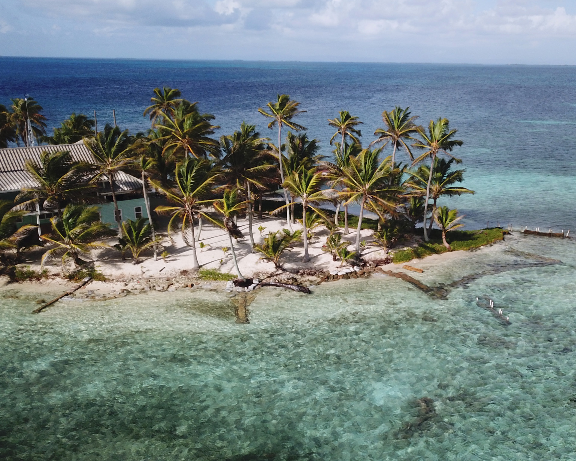 Belize island palms crystal beach yacht