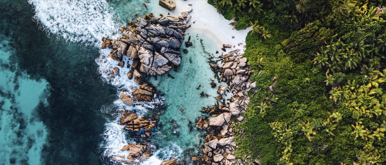 Seychelles nature beach