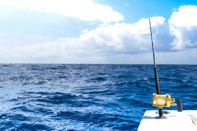 Everything you need to know about fishing